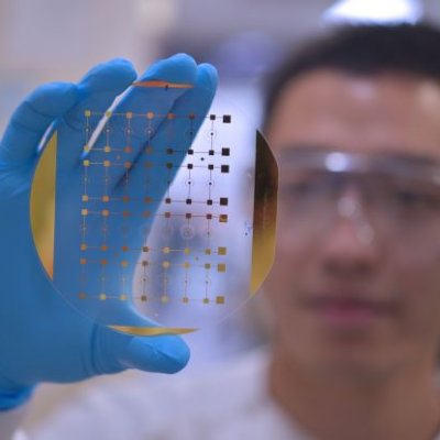 A close up image of a slide showing tiny rectangles, held up by the gloved hand of a researcher who is out of focus.